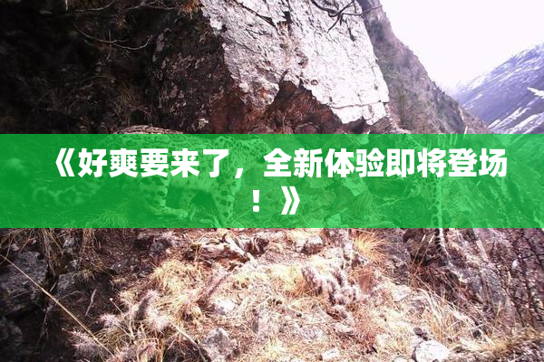 《好爽要来了，全新体验即将登场！》