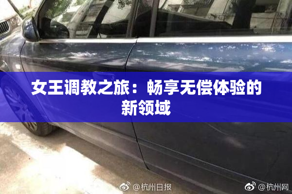 女王调教之旅：畅享无偿体验的新领域