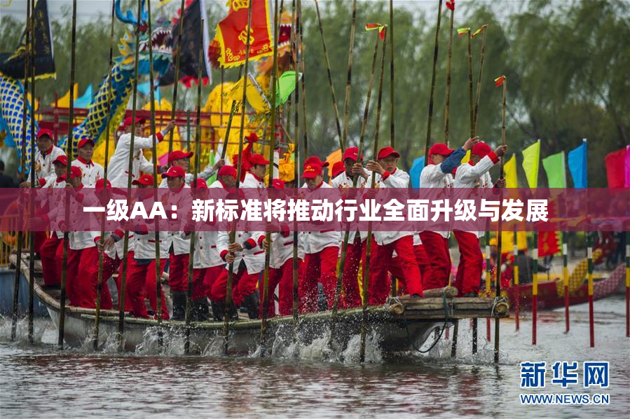 一级AA：新标准将推动行业全面升级与发展
