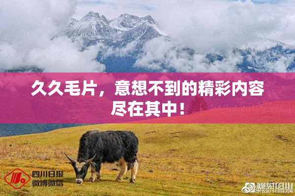 久久毛片，意想不到的精彩内容尽在其中！
