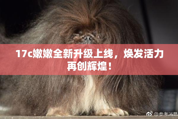 17c嫩嫩全新升级上线，焕发活力再创辉煌！