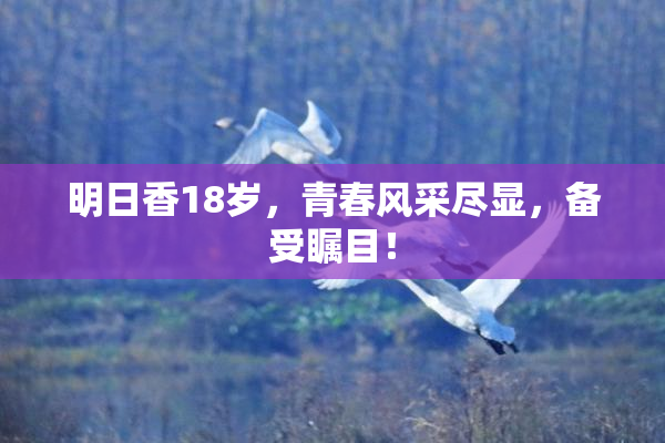 明日香18岁，青春风采尽显，备受瞩目！