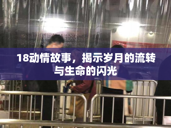 18动情故事，揭示岁月的流转与生命的闪光