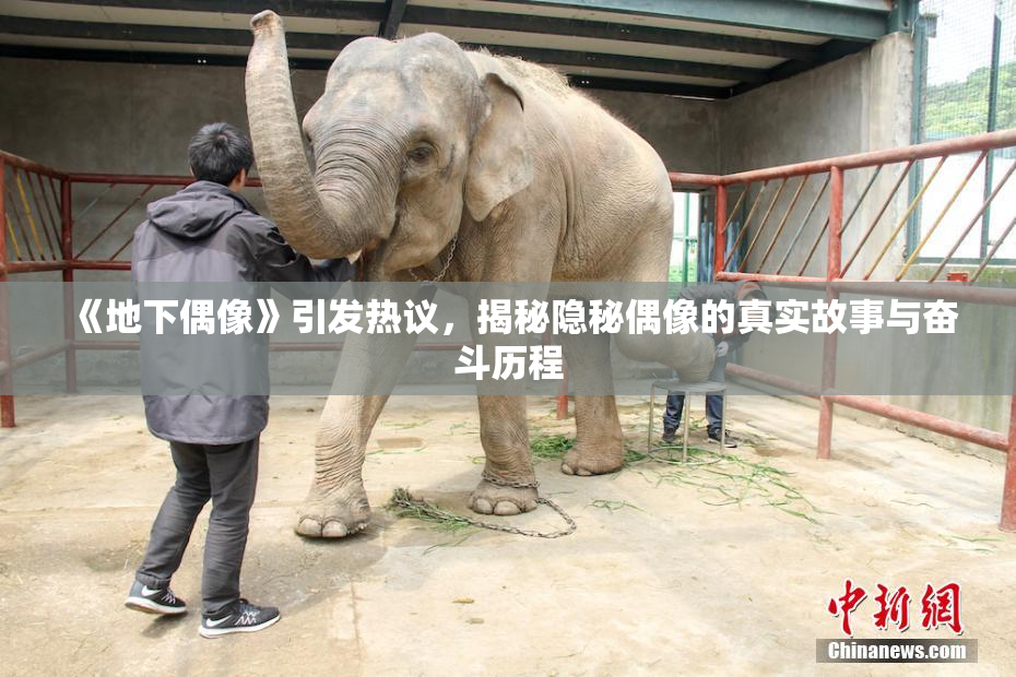 《地下偶像》引发热议，揭秘隐秘偶像的真实故事与奋斗历程
