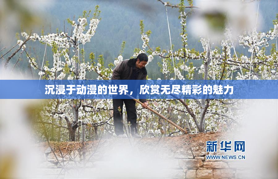 沉浸于动漫的世界，欣赏无尽精彩的魅力