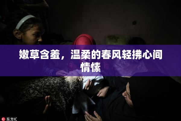 嫩草含羞，温柔的春风轻拂心间情愫