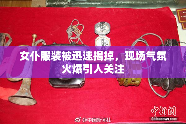 女仆服装被迅速揭掉，现场气氛火爆引人关注