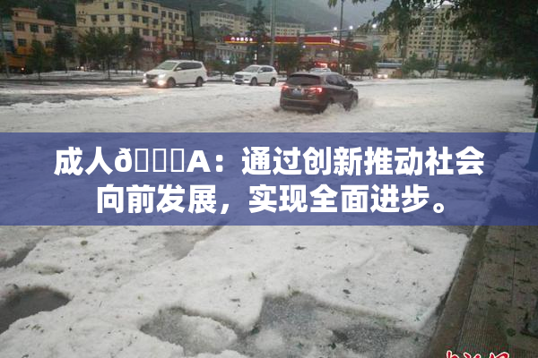 成人🔞A：通过创新推动社会向前发展，实现全面进步。
