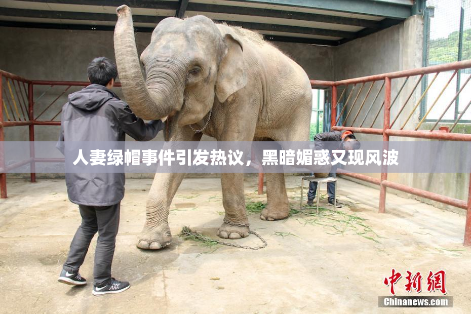 人妻绿帽事件引发热议，黑暗媚惑又现风波