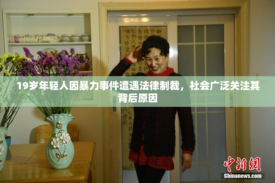 19岁年轻人因暴力事件遭遇法律制裁，社会广泛关注其背后原因