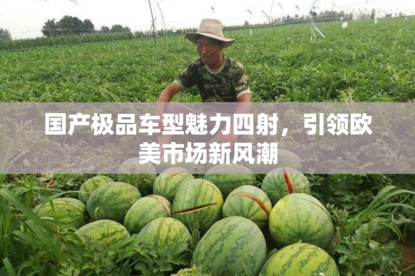国产极品车型魅力四射，引领欧美市场新风潮
