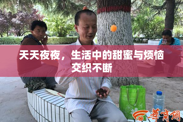 天天夜夜，生活中的甜蜜与烦恼交织不断
