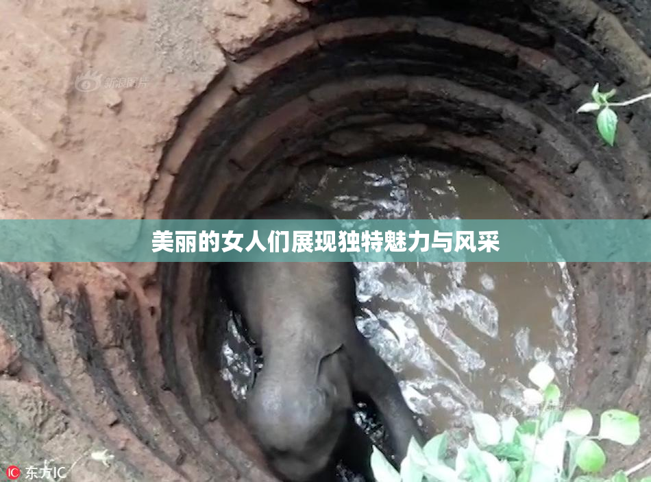 美丽的女人们展现独特魅力与风采
