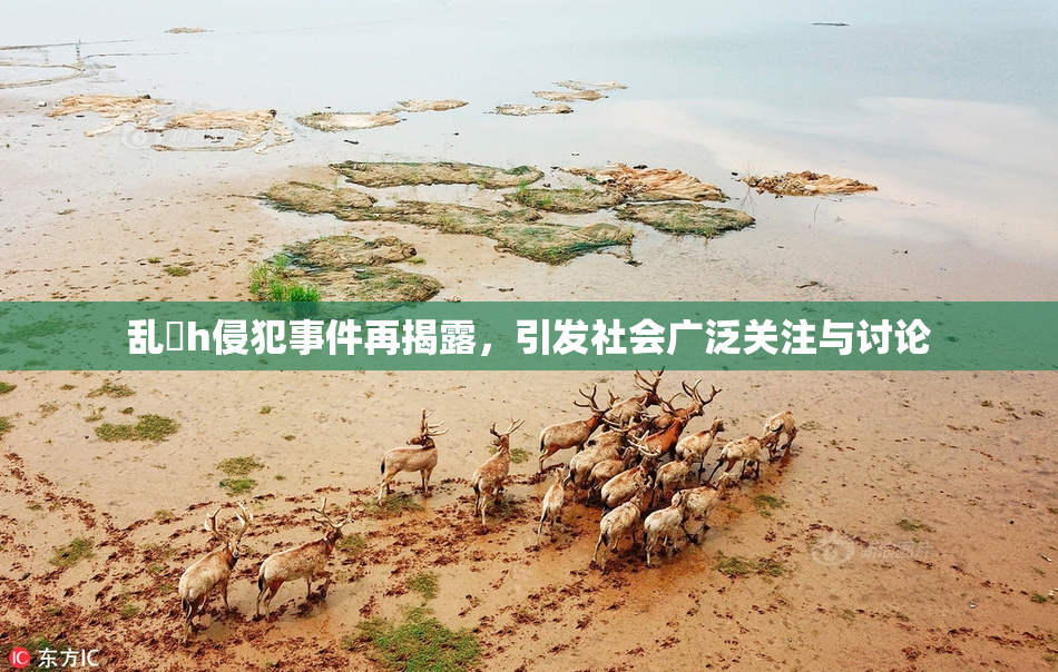 乱婬h侵犯事件再揭露，引发社会广泛关注与讨论