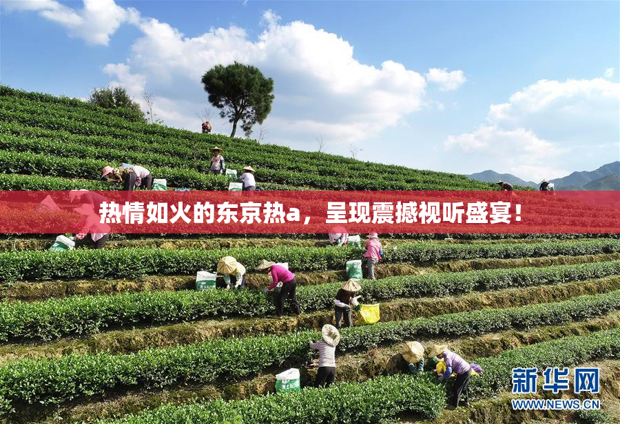 热情如火的东京热a，呈现震撼视听盛宴！