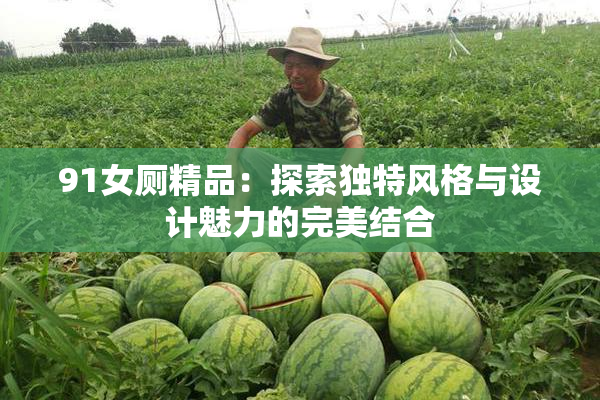 91女厕精品：探索独特风格与设计魅力的完美结合
