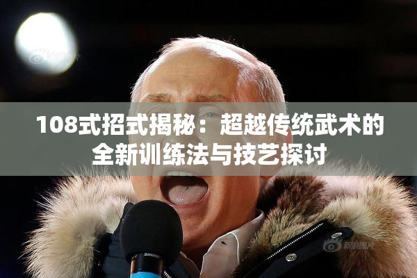 108式招式揭秘：超越传统武术的全新训练法与技艺探讨