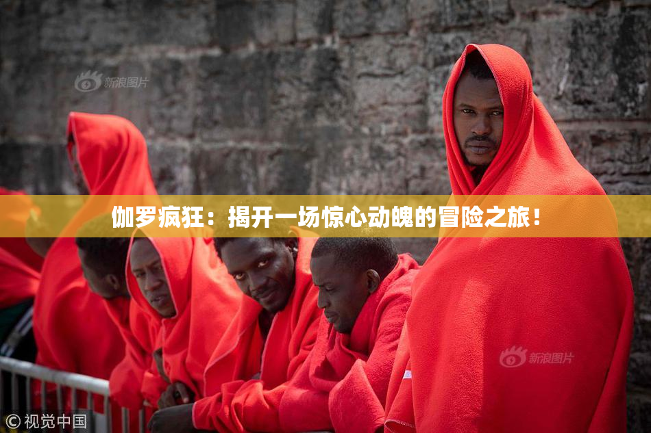 伽罗疯狂：揭开一场惊心动魄的冒险之旅！