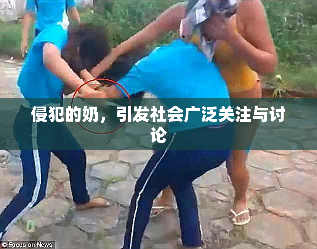 侵犯的奶，引发社会广泛关注与讨论