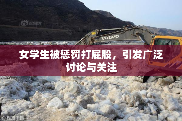 女学生被惩罚打屁股，引发广泛讨论与关注