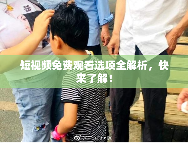 短视频免费观看选项全解析，快来了解！