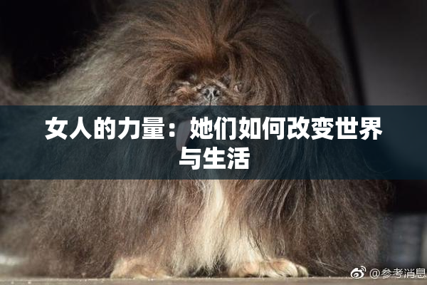 女人的力量：她们如何改变世界与生活