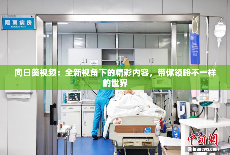 向日葵视频：全新视角下的精彩内容，带你领略不一样的世界