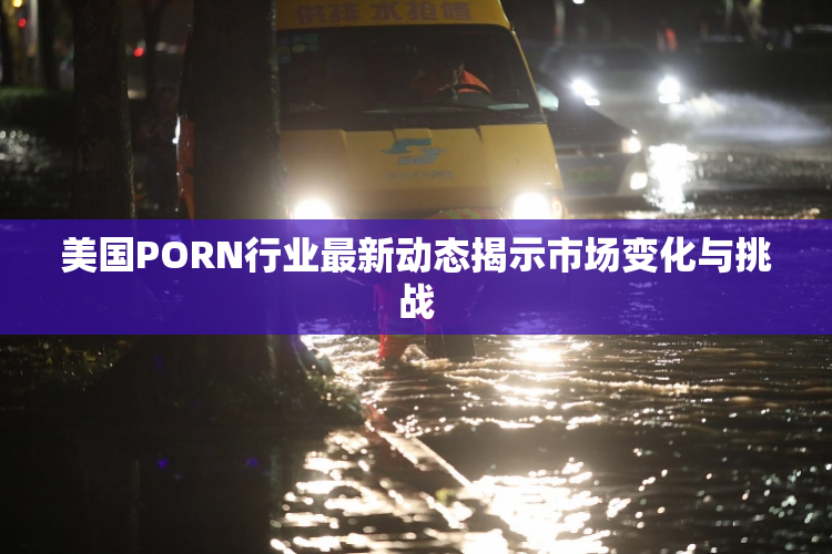 美国PORN行业最新动态揭示市场变化与挑战