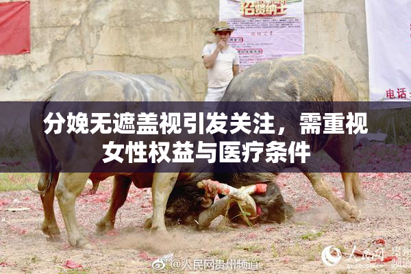 分娩无遮盖视引发关注，需重视女性权益与医疗条件