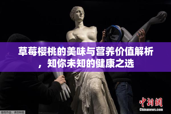 草莓樱桃的美味与营养价值解析，知你未知的健康之选