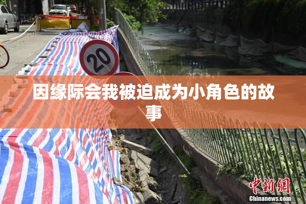 因缘际会我被迫成为小角色的故事