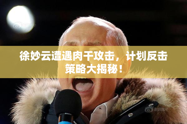 徐妙云遭遇肉干攻击，计划反击策略大揭秘！