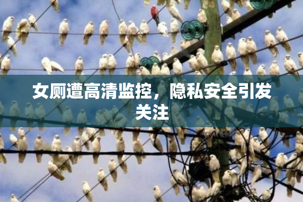 女厕遭高清监控，隐私安全引发关注