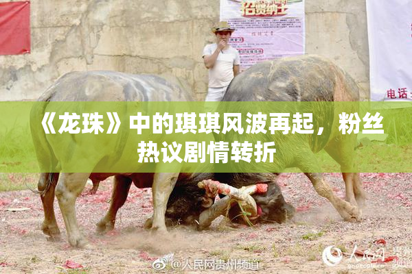 《龙珠》中的琪琪风波再起，粉丝热议剧情转折