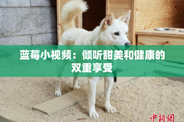 蓝莓小视频：倾听甜美和健康的双重享受