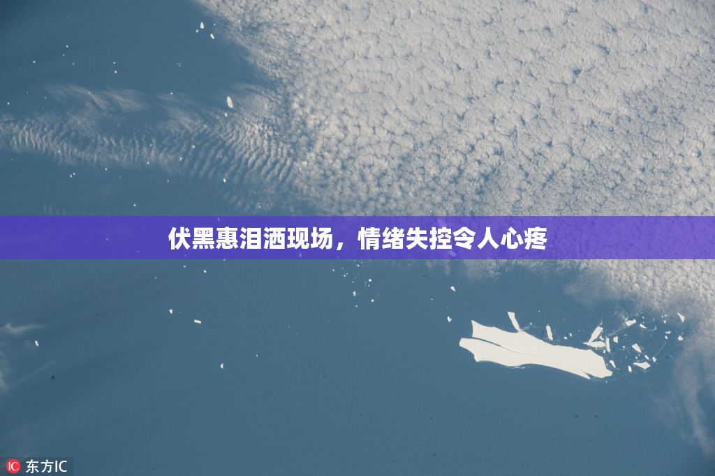 伏黑惠泪洒现场，情绪失控令人心疼