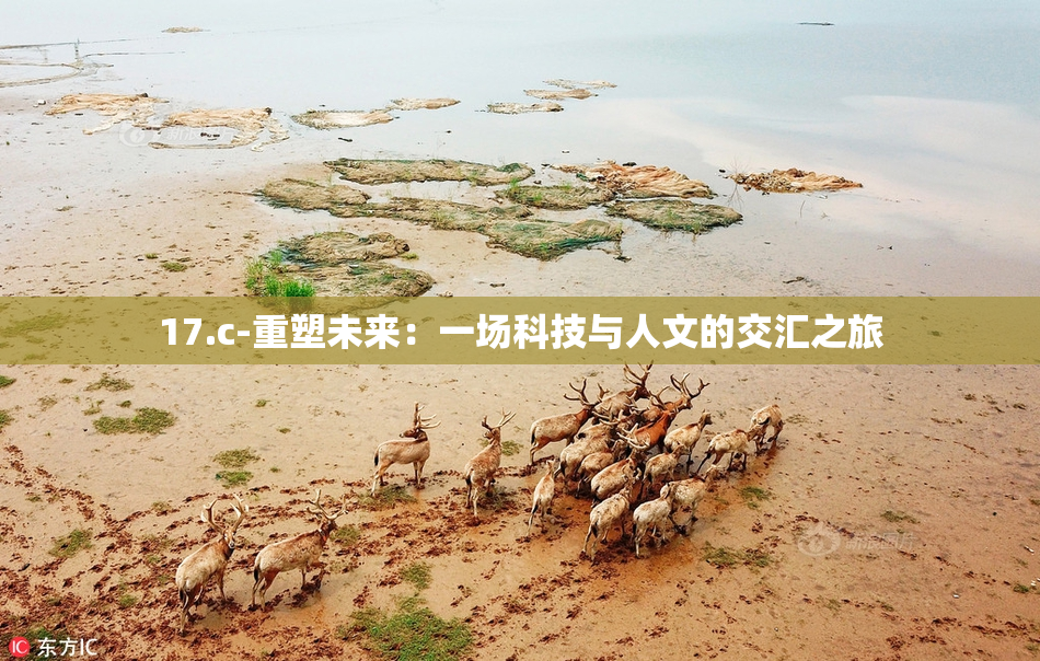 17.c-重塑未来：一场科技与人文的交汇之旅