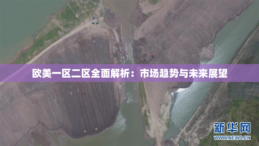 欧美一区二区全面解析：市场趋势与未来展望