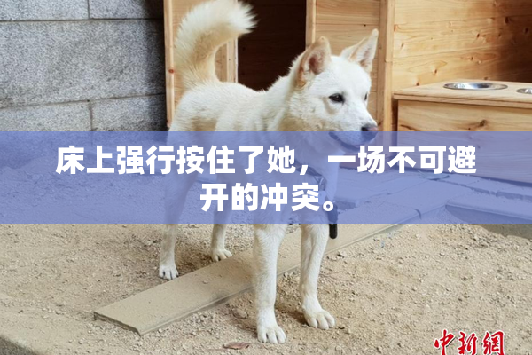 床上强行按住了她，一场不可避开的冲突。