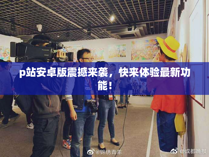 p站安卓版震撼来袭，快来体验最新功能！
