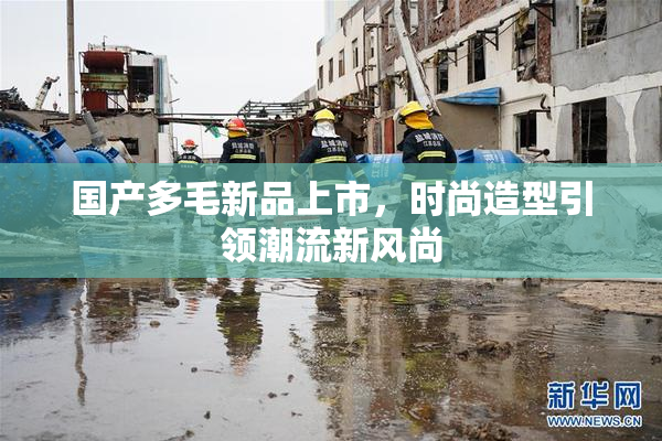 国产多毛新品上市，时尚造型引领潮流新风尚