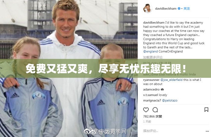 免费又猛又爽，尽享无忧乐趣无限！