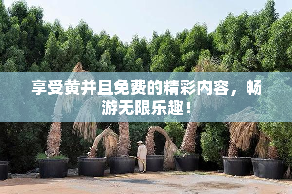 享受黄并且免费的精彩内容，畅游无限乐趣！