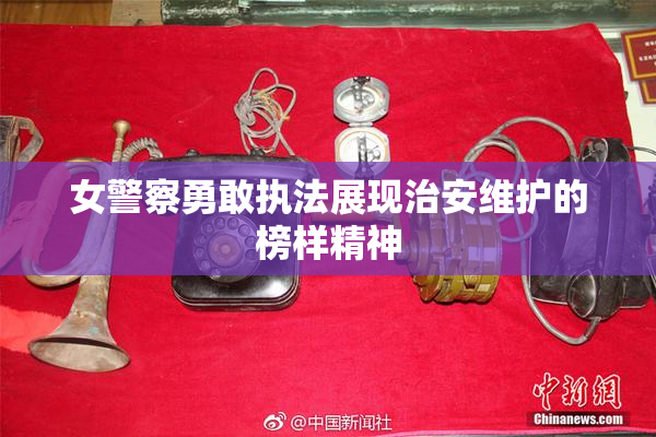 女警察勇敢执法展现治安维护的榜样精神
