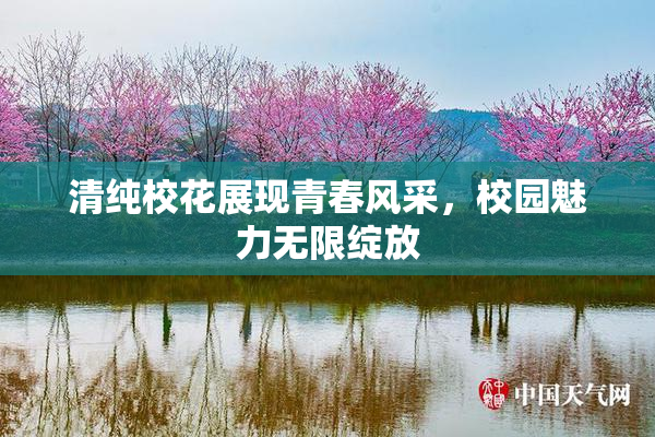 清纯校花展现青春风采，校园魅力无限绽放