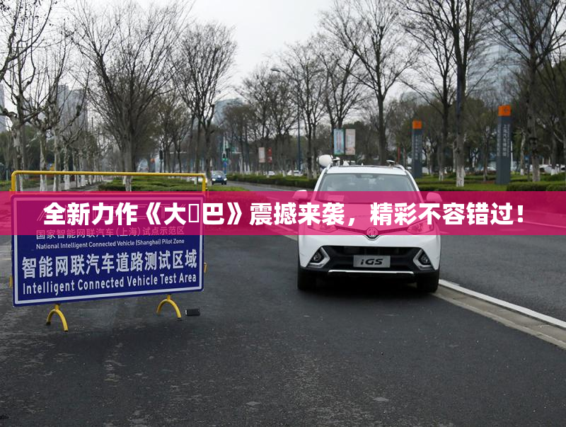 全新力作《大鳮巴》震撼来袭，精彩不容错过！