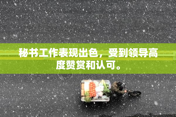 秘书工作表现出色，受到领导高度赞赏和认可。