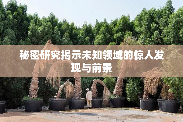 秘密研究揭示未知领域的惊人发现与前景