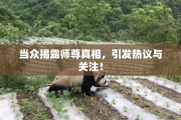 当众揭露师尊真相，引发热议与关注！