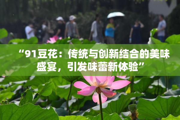 “91豆花：传统与创新结合的美味盛宴，引发味蕾新体验”